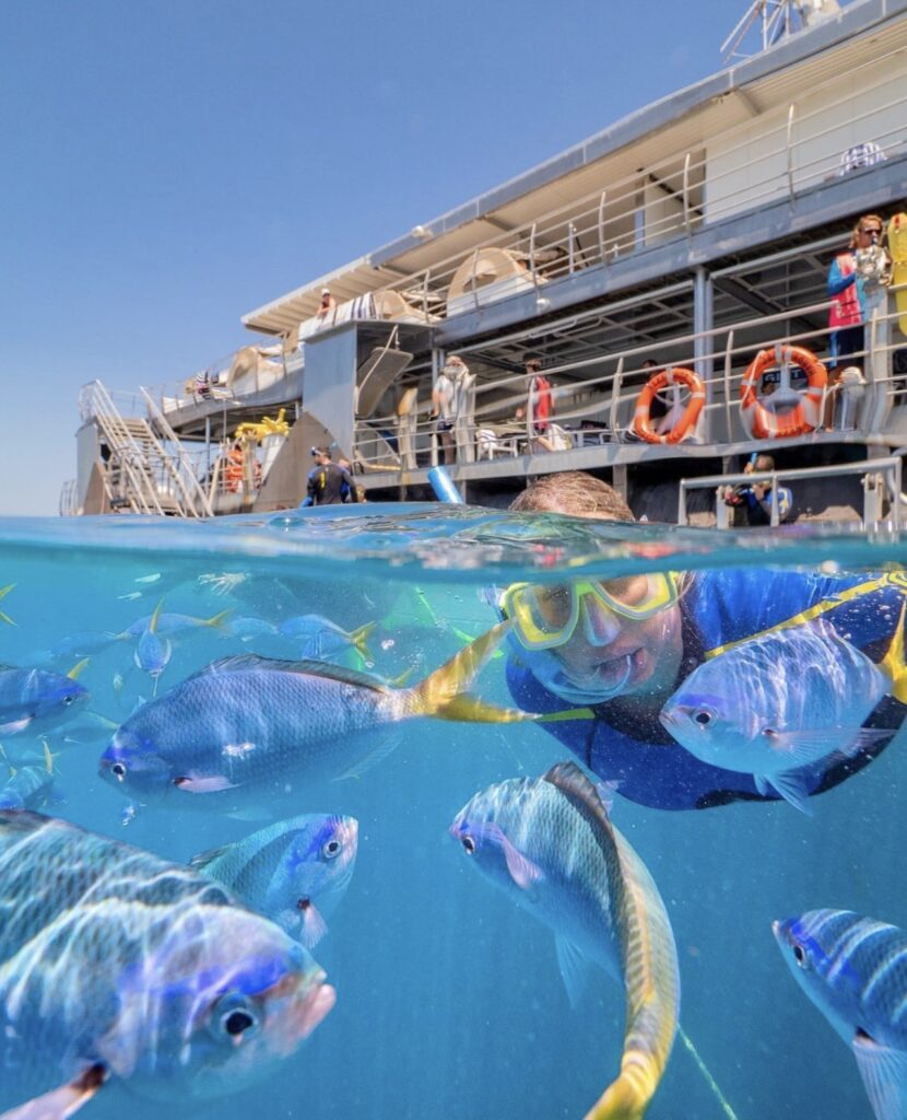 GBR snorkelling. Skydive Australia. Photo credit @cruisewhitsundays on Instagram