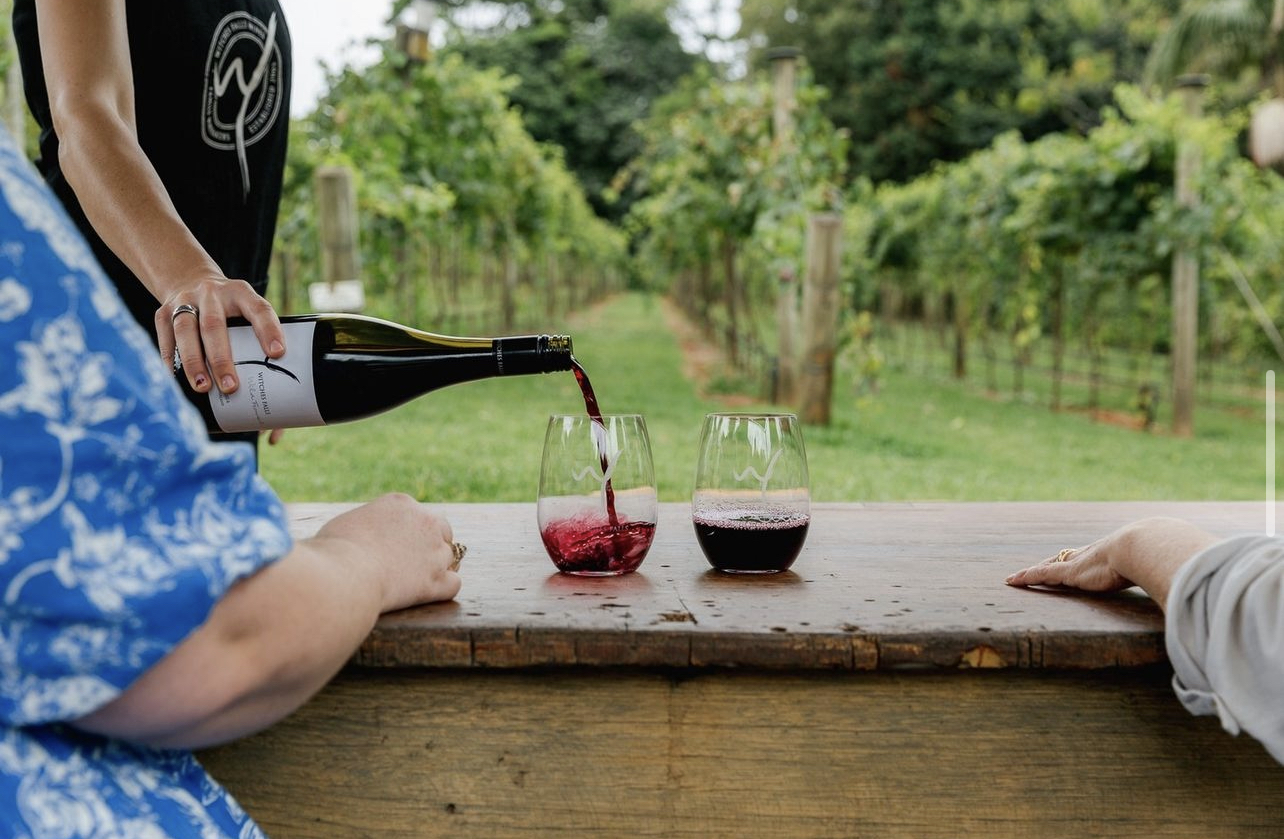 Wine tasting in Witches Falls Winery at Tamborine Mountain. Credits to @thevinobus on Instagram