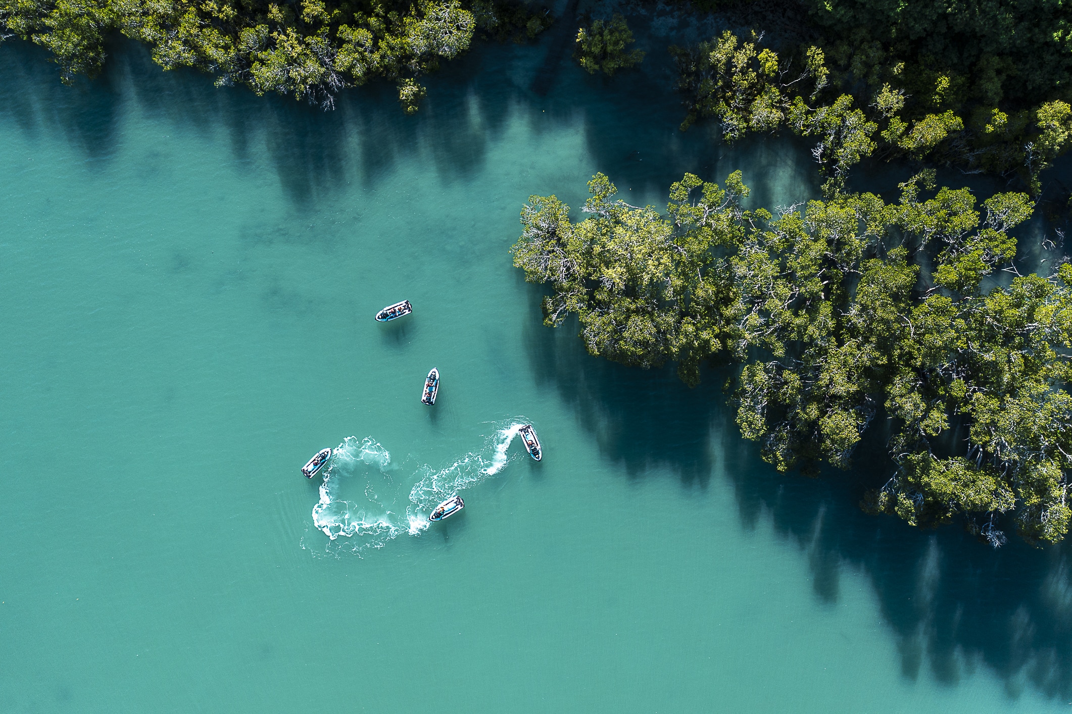 Whitsundays Jetski Tours