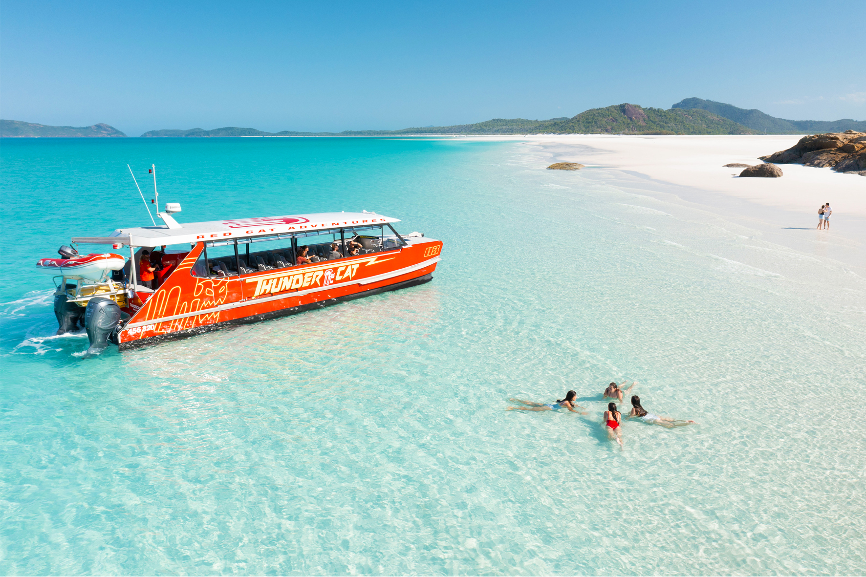 Red Cat on the Whitehaven Beach