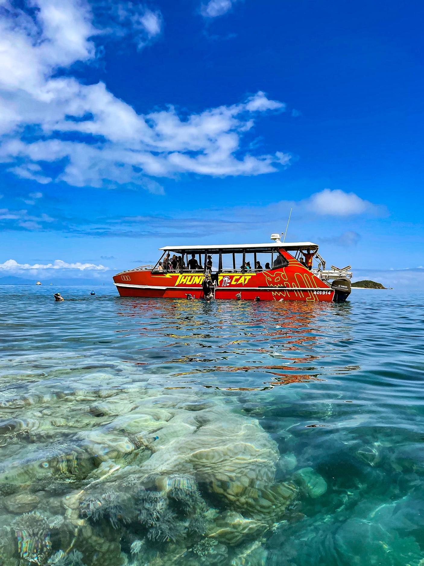 Red Cat- Snorkeling in the reef