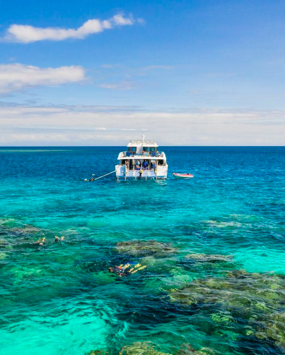 Calypso - snorkeling in the reef. Photo credit @calypsoreefcruises on Instagram