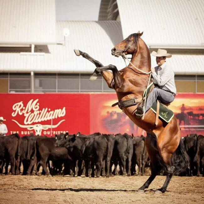 Horse Riding show. Photo credit @australianoutbackspectacular on Instagram