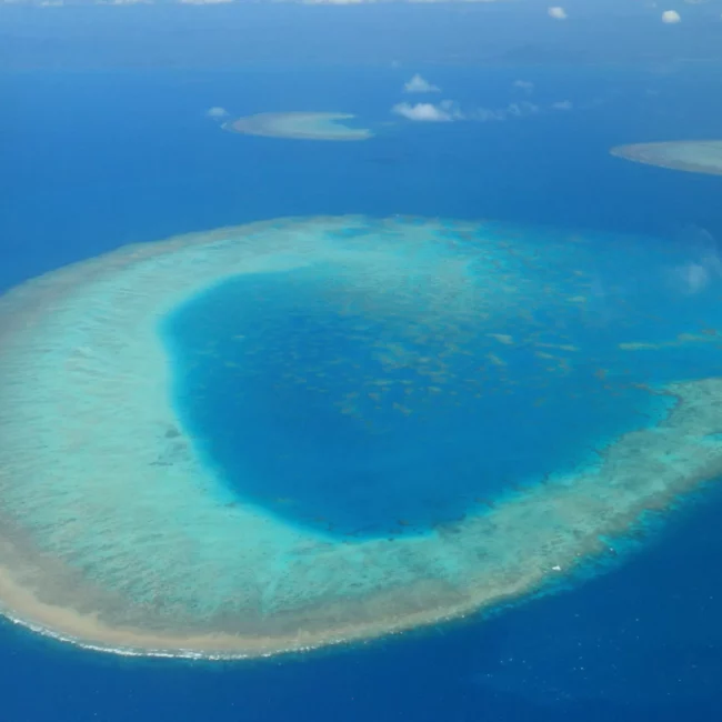 Fly Australia - Reef and Island scenic flight flying over the reef