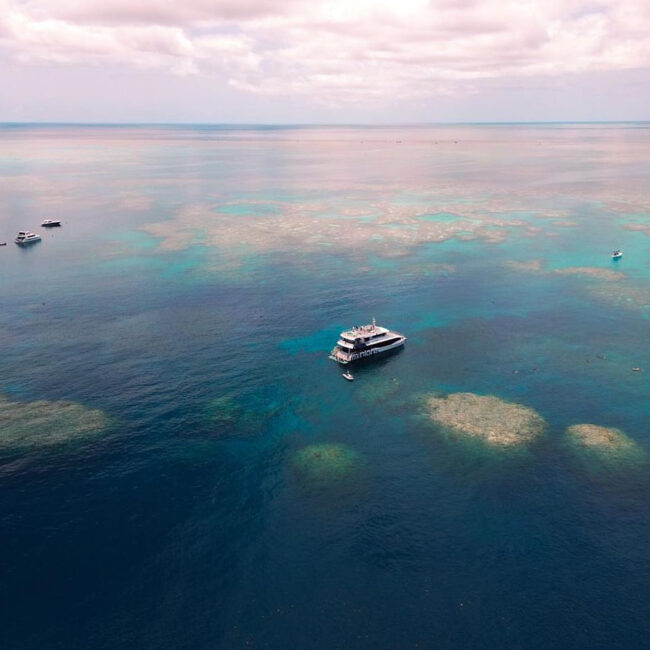 Explore Group Hamilton to Great Barrier Reef Diving