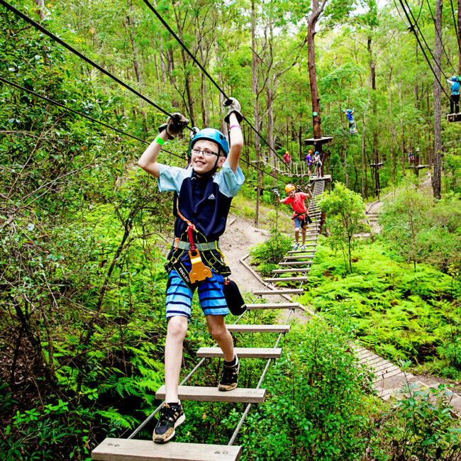 TreeTop Challenge Tamborine Mtn