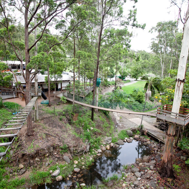TreeTop Challenge Tamborine Mtn 3