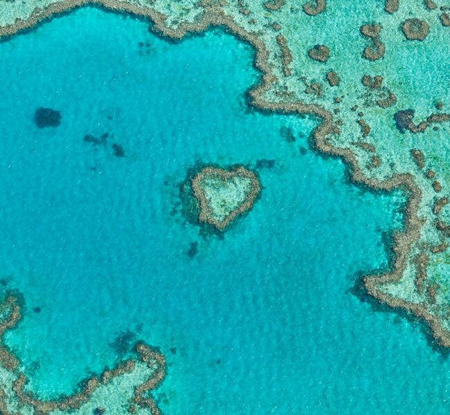 Whitsundays Hardy Reefworld ( Cruise Fly or Fly Cruise) The Heart Reef