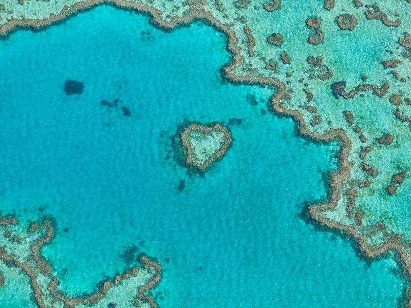 Whitsundays Hardy Reefworld ( Cruise Fly or Fly Cruise) The Heart Reef