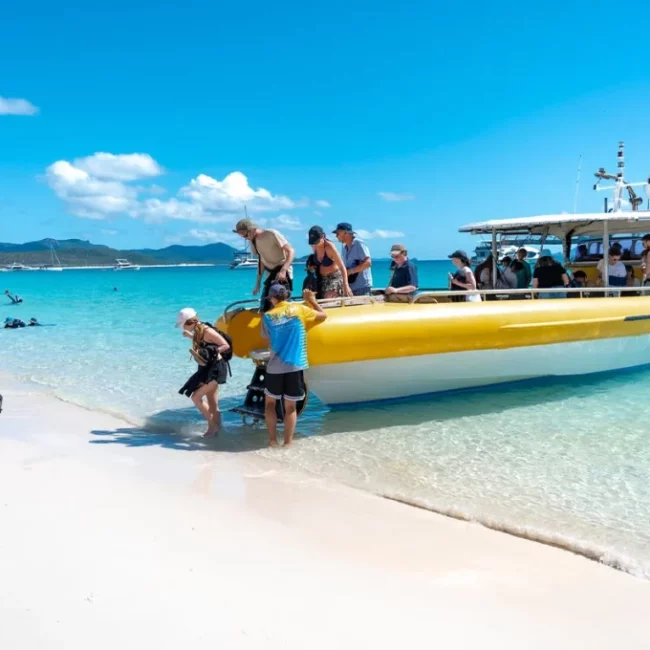 Big Fury on whitehaven becah