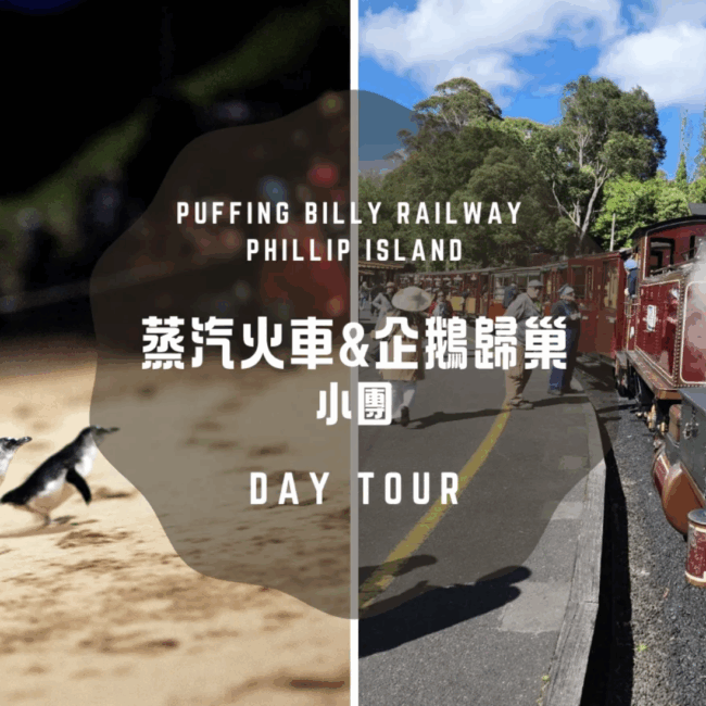 【PM】 蒸汽火車&企鵝歸巢小團