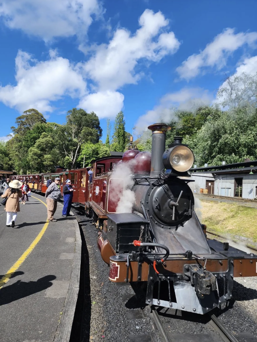 【PM】 蒸汽火車&企鵝歸巢小團 2